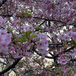 �������������Ļ�������