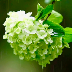 �����Ԋ�����_���