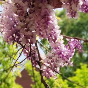 �򿨣����ٻ��_��������