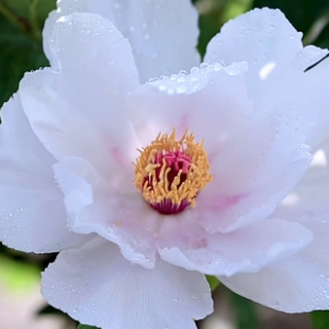 ĵ�������|������������ˮ