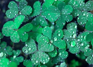 ���ˣ����ڽ���16�r14��