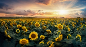 ����������̫����a�}�᣿