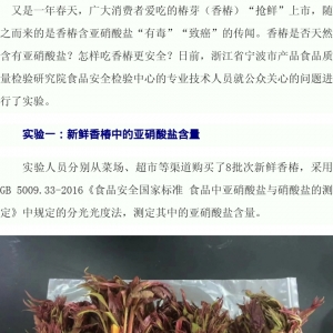 �㴻���������}���°�����