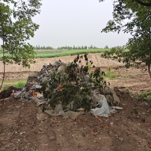 ͵��������������(y��n)�������P��