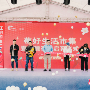 ʮ��������ݮ�ö��������ӡ��R12����c��ӡ��R��Ȧ��IN�Y�e��