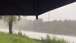 �������������