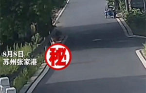 ��Σ�U�����4�q��ͯ���Թ��_���ߵ����Ҹ�