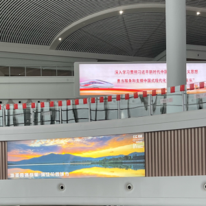 �ЈD��ҕ�l�������R�^��Ư���Ľ��վ~