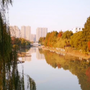 �S�ģ����Գ��S�ľ�ɫ�r���p�����Ąӣ�