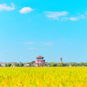 �r(n��ng)�������S�ģ����g����������ᷲ������