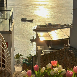 �W(w��ng)�ѷ�����ף��ҹ�(ji��)���_�������¿ɘ�(l��)��