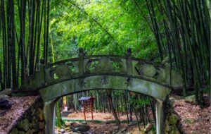 ����ҒϪ����̤�ŵ�������ǧ��ńx�ĶU�����h