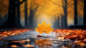 �����ʽ���