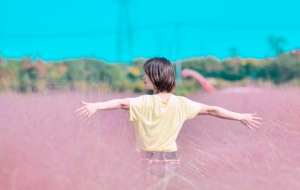 ���(m��ng)�ƻã�������һ�N���з���