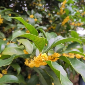 ��¶���ˣ�ע�����±�ů��