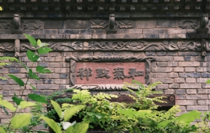 ̽�L��ɽ��լ�����ܻĲ݅����o�˾�ס