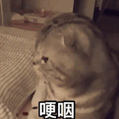 00��ţ���ϰ���k�������՘ӵ��c�°���ֻ���҂��@����������߀���b��