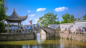 һ�����l���D����������{����ƺ�����