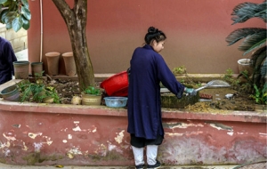 �򿨼��ȵľ�ɽ�ŏR����M���Ěvʷ��Ϣ