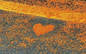 �𻨣�����ľ��`�������������