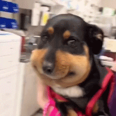 �ҽ���ˢ����һ�ҿ�����Ȼ���]�ˣ�������_�������°�