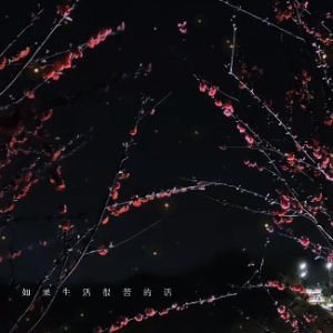 �S�ģ�����ܿ��Ԓ(hu��)���Ǿ�����(g��)����ĉ�(m��ng)�ɣ�