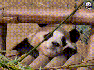 ����ɽ�󣡺��ӌW(xu��)�I(y��)�ص�?j��ng)]�Еr(sh��)�g�棬߀Ҫ�ϸ��N�dȤ��