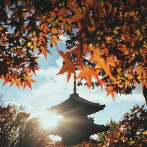 �����ﾰ���������g������ɽ�����