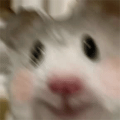 �F�����p�˶�ӑ�����О飡�e��������������ȥ