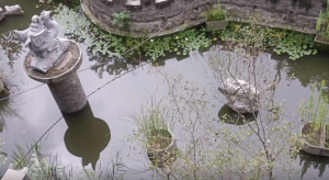 ���շݵ��S�ģ����h�����t��