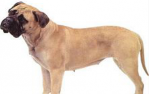 39�N����Ȯ����ꎽ��B