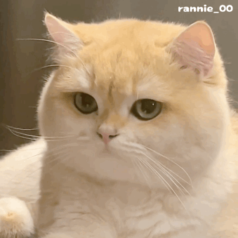 ��������eՄ�и�悵İ�K�ĕr������Щ�������ͦ����˼��