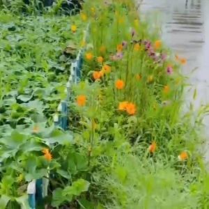 �꼾�S�ģ����ϟo��������ٛһҹ��