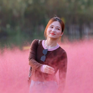 �zӰ����һ�N���з���y�Ӳ������@�������������ڴ�