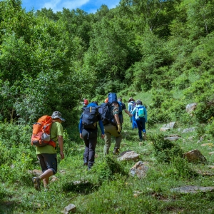  �f��ɽ�L�����e����ȥ�����ˣ������Ǐ�����ɽ�ģ�܇ͣ���ģ�