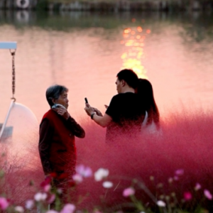 �S�ģ��ϰ����æµ���°�һ�����������