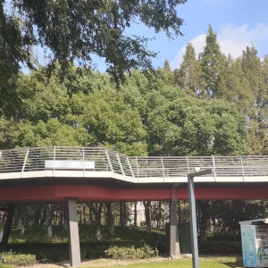 ���������ͣ܇�ѽ�(j��ng)�_ʼ���M(f��i)�ˣ�ͣ܇һС�r(sh��)��Ҫ5Ԫ��