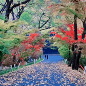 �S�ģ��������������҂���һ��ȥ�ڴ���۰�