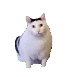 ����ֱ�����V�ˣ������σɿ�©ˮ���ޣ���ŮҲ����