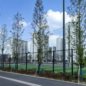 �����\(y��n)�ӹ��@�Ǳ���(l��i)���M(f��i)�����(ch��ng)Ҳ�_(k��i)ʼ���M(f��i)�ˣ����X(ju��)�ǂ�(g��)���(ch��ng)��ҪȦ����(l��i)