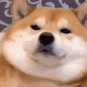 ������˂������̣�Ę�������͛]ɶӆ�εĘ��ӣ��l�F������ɫ����Ҫ