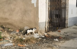 ��ꎱ���ֹ������ҵĻؑ��������ف팍����һ��ӛ�һ��