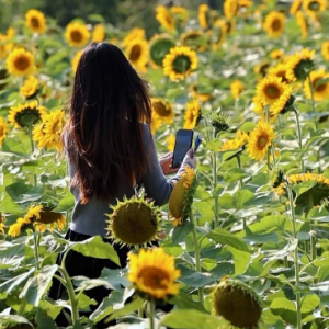 ����zӰ��Ը�҂������տ����h׷��ꖹ���