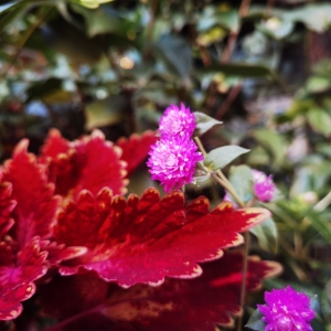 �S�ģ��Иs�пݲ��ǚq�µ��ֹP������Ҳ��