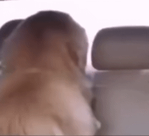 ����r��ɽ�^���Wͽ��������һ����30�K��Q�Դ�ס��