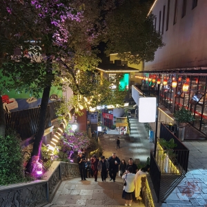 ����ҹ���S�ģ����t�ƾG�����x���A