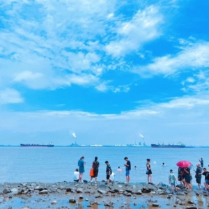 ���Ҹ۴��������һƬ�������պܳ�Ƭ���������ĵ���Ƭ