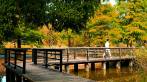 ӛ�����r�̣����ÞV�RҲ����