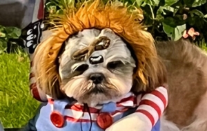 �Ϻ����^�fʥ��(ji��)��g�������٬F(xi��n)��(j��ng)�����