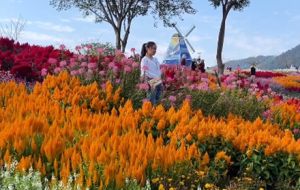 �򿨽���5�󾰅^(q��)���L���������F�\��